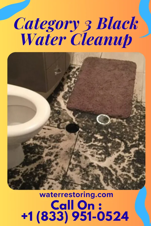 Category 3 Black Water Cleanup in Chippewa Lake, OH