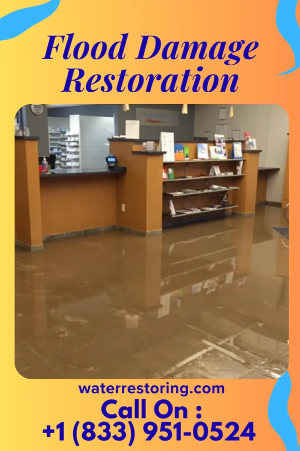 Flood Damage Restoration in Chippewa Lake, OH