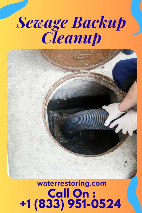 Sewage Backup Cleanup in Chippewa Lake, OH