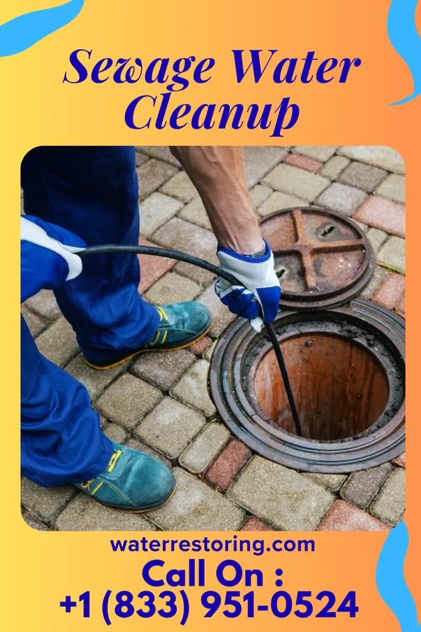 Sewage Water Cleanup in Chippewa Lake, OH