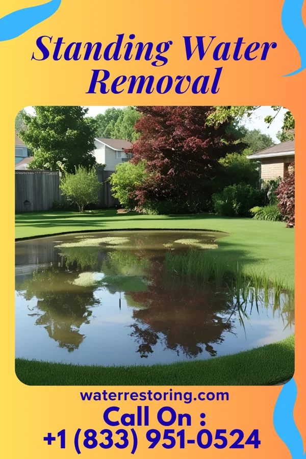 Standing Water Removal in Chippewa Lake, OH